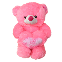 Teddy Bears (30 cm)